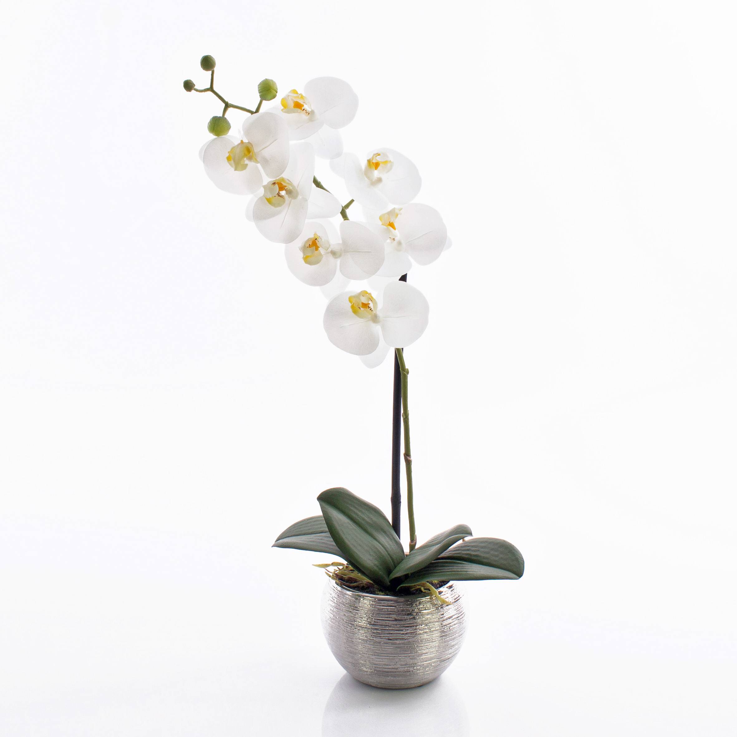 Orquídea Phalaenopsis artificial EMILIA maceta decorativa, blanco, 50cm,  Ø8cm - Flores artificiales
