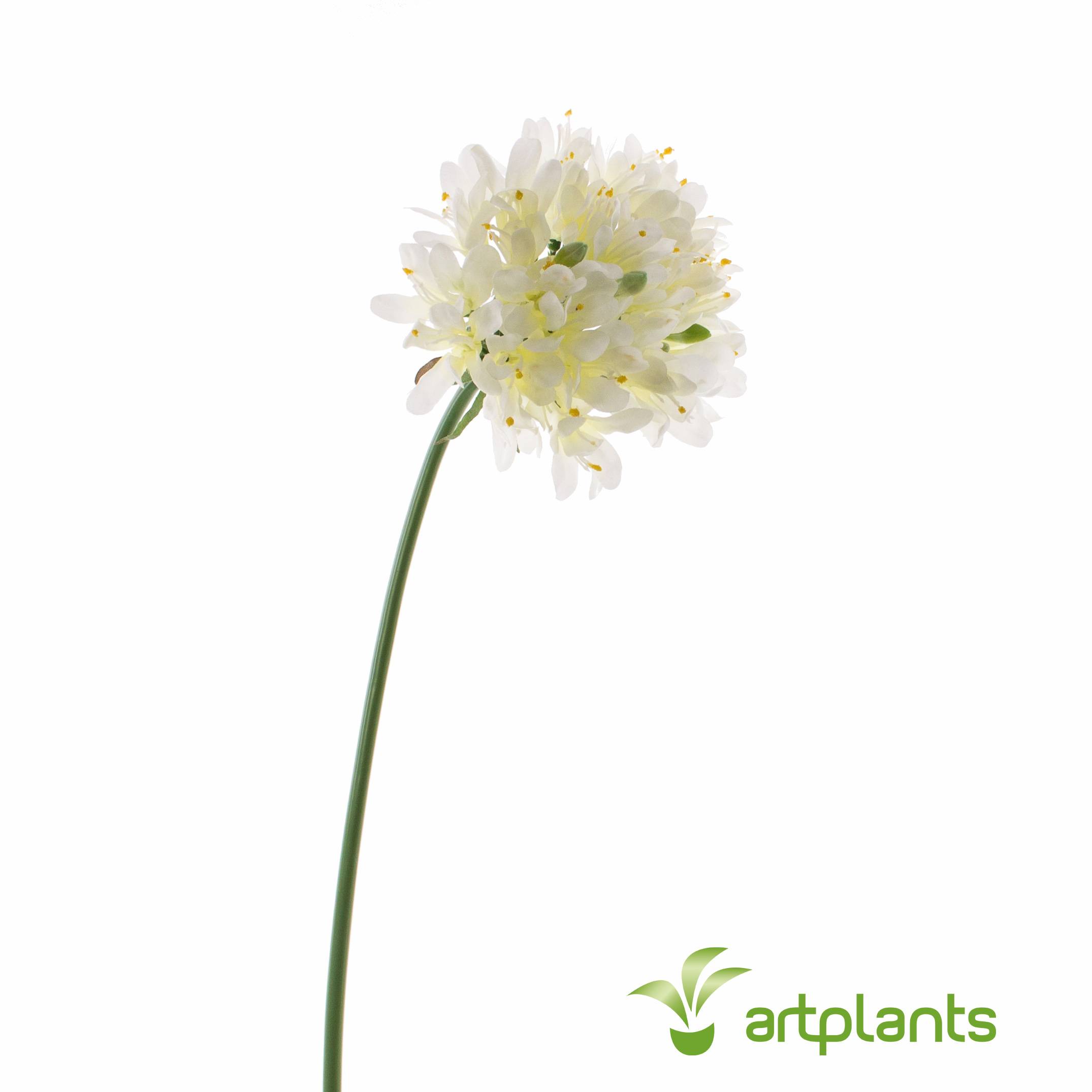 Agapanto artificial MAILIN, crema, 70cm, Ø13cm - Flores artificiales