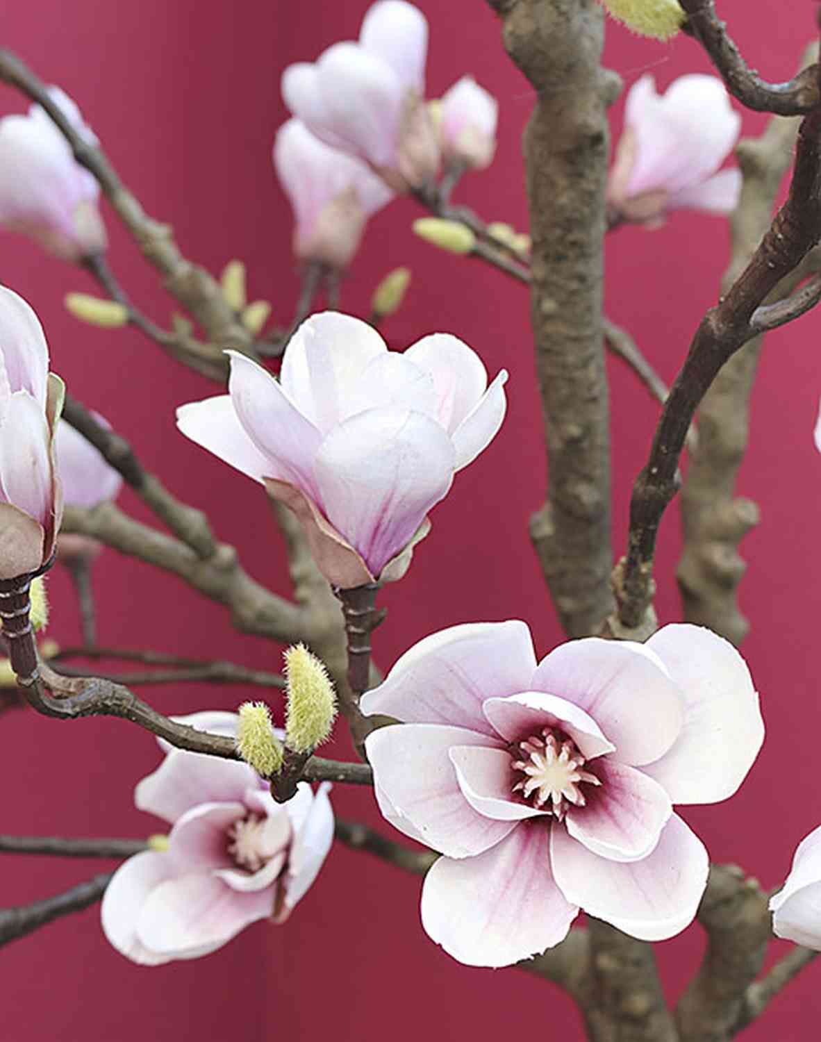 Árbol de magnolia artificial RALPH, tronco artificial, blanco-rosa, 210cm