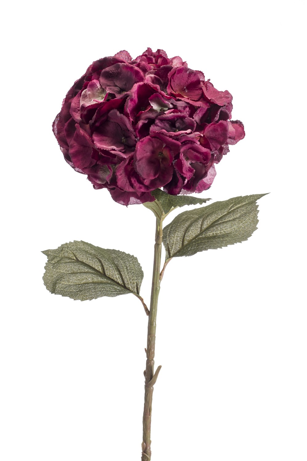 Hortensia de plástico ELBIRE, rojo burdeos, 85 cm