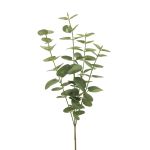 Rama artificial de eucalipto MINJIA, verde-gris, 65cm