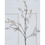 Rama de viburnum artificial PHILLIP con capullos, verde-marrón, 100cm