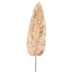 Hoja de plátano de terciopelo AOXUE, rosa, 70cm