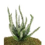 Erica artificial IMKE con vara de fijación, crema, 25cm, Ø1cm