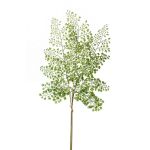 Rama de helecho de adiantum de plástico HALIMA, verde, 60cm