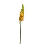 Kniphofia artificial MUNDAKA, amarillo, 85cm