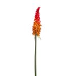 Kniphofia artificial MUNDAKA, rojo-naranja, 85cm