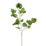 Rama de Ficus religiosa artificial ASCELLA con frutos, verde, 95cm