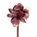 Amaryllis de terciopelo KIRSTY, rosa antiguo, 70cm, Ø9cm