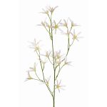 Tweedia solanoides artificial PALLAS, blanco, 75cm, Ø5cm