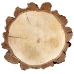 Rodaja de madera de abedul MORGANIE, natural, Ø34-47cm