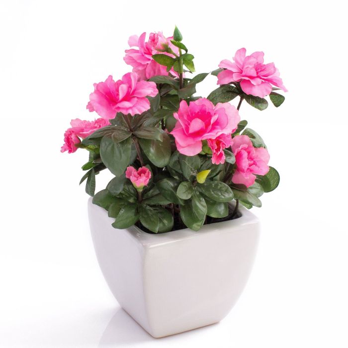 Azalea sintética TABITA tiesto de cerámica, rosa, 25cm, Ø2-6cm - Flores  artificiales