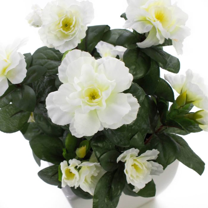 Azalea sintética TABITA tiesto de cerámica, blanco, 25cm, Ø2-6cm - Flores  artificiales