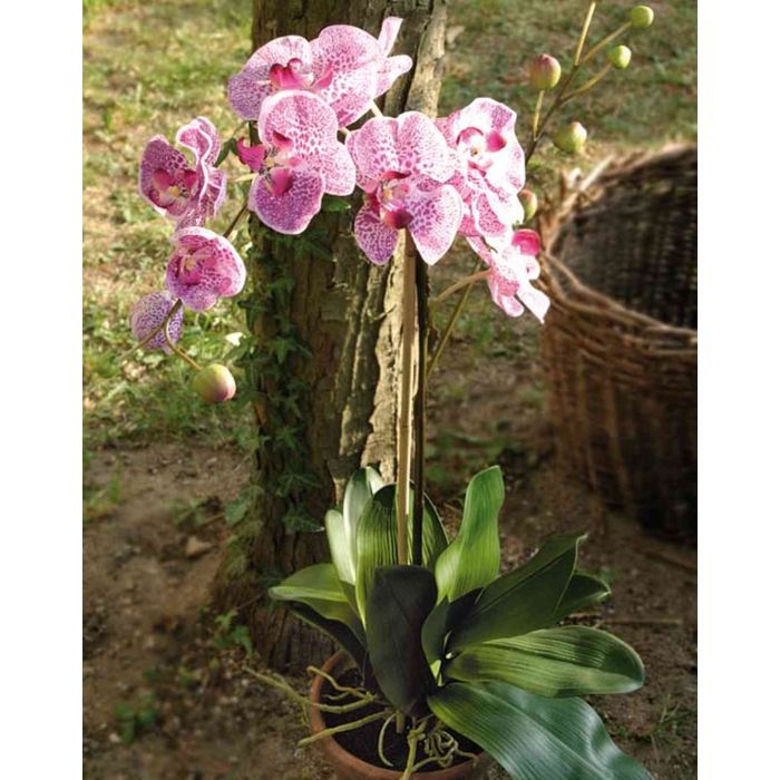 Orquídea Phalaenopsis artificial VALERJIA, maceta de terracotta, violeta- blanca, 100cm