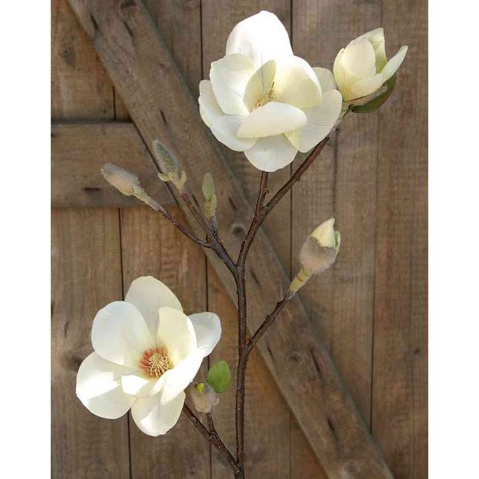 Rama de magnolia artificial ELISSA, amarillo-crema, 80cm