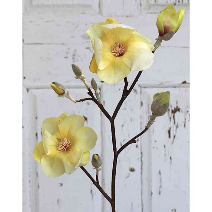 Rama de magnolia artificial ELISSA, amarillo, 80cm