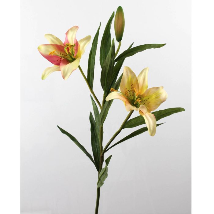 Rama de azucena sintética MARLENA crema-rosa, 85cm, Ø15cm - Flores  artificiales