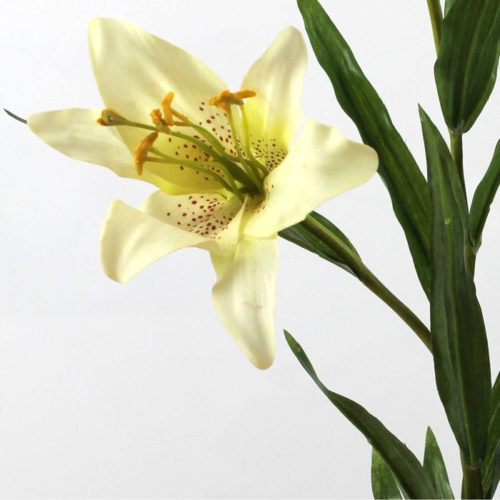Rama de azucena sintética MARLENA crema, 85cm, Ø15cm - Flores artificiales