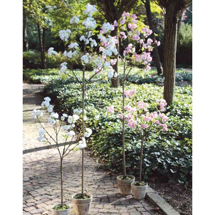 Árbol de cerezo artificial YAGAMI, flores, maceta decorativa, rosa, 170cm