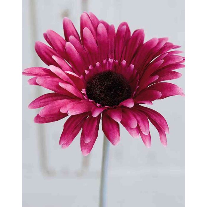 Gerbera sintética TABITHA, fucsia, 55cm