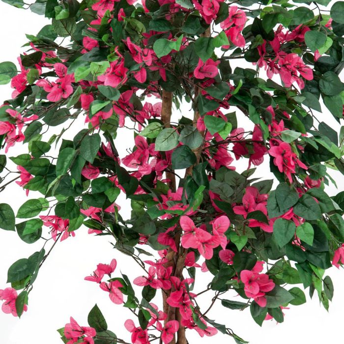 Buganvilla plástico BANU, tronco natural, flores, fucsia, 180cm - Árboles  artificiales