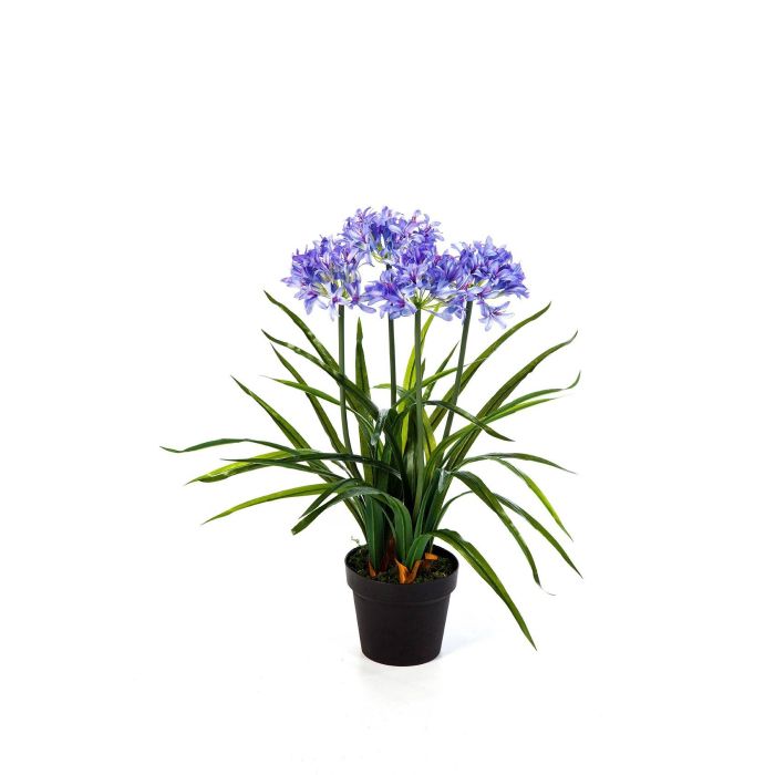 Lirio africano artificial SAKILE, azul-lila, 65cm, Ø11cm - Flores  artificiales