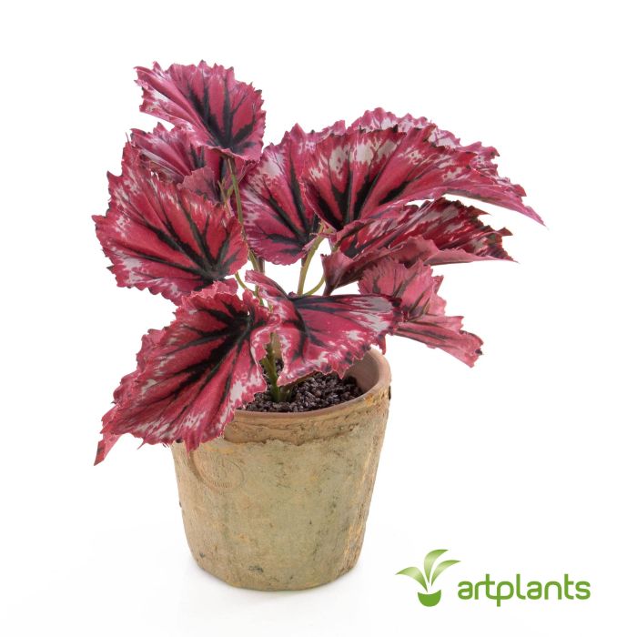 Begonia rex artificial BENICE, en maceta de terracota, rojo, 20cm - Plantas  artificiales