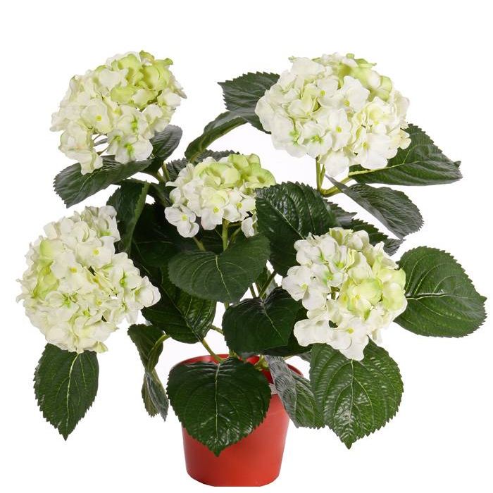 Hortensia sintética TEMARI, crema-verde, 35cm, Ø10-12cm - Flores  artificiales