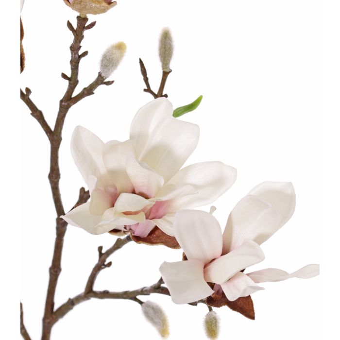 Magnolia estrellada artificial AZULA, rosa crema, 60cm, Ø7-9cm