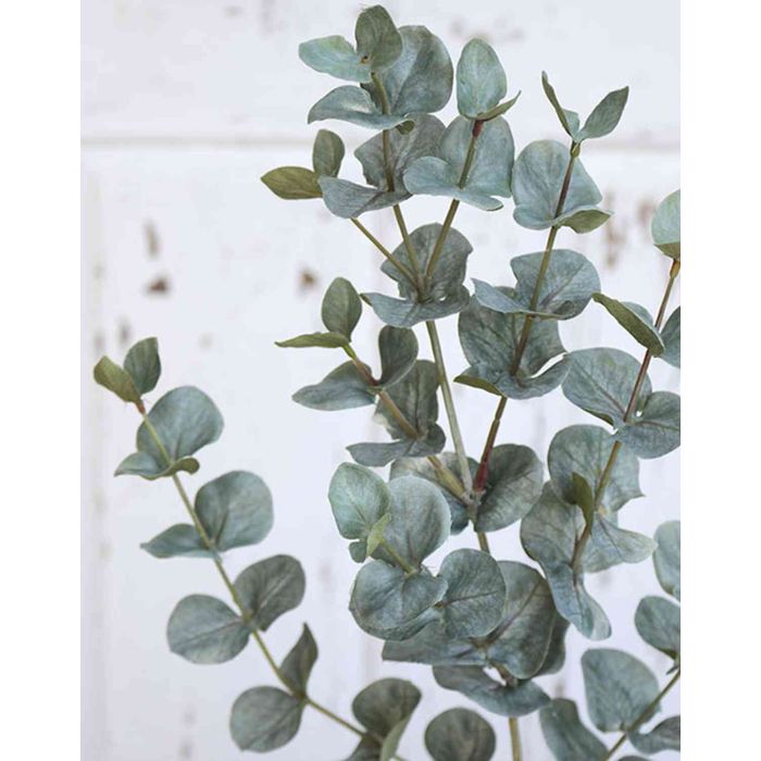 Eucalipto artificiale INGOLF, verde-grigio, 55cm