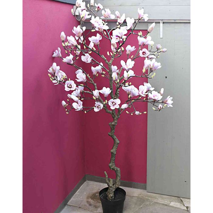 Árbol de magnolia artificial RALPH, tronco artificial, blanco-rosa, 210cm