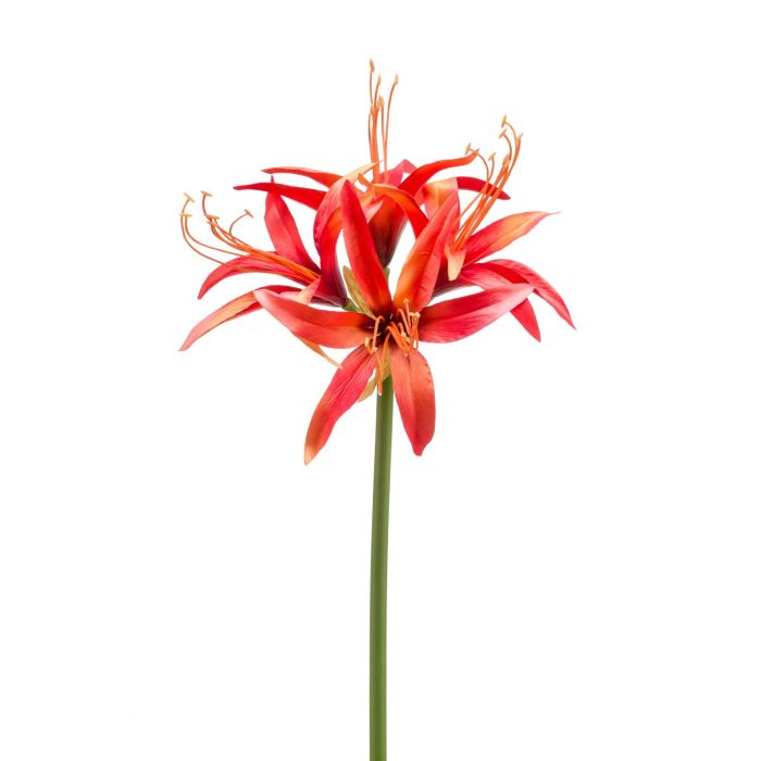 Flor textil Amaryllis de jardín TADASHI, naranja, 75cm