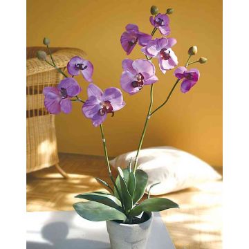 Orquídea Phalaenopsis de plástico RHIJANA, maceta de arcilla, morado claro, 60cm