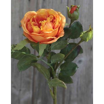 Rosa repollo artificial OLIVERA, naranja, 30cm, Ø9cm