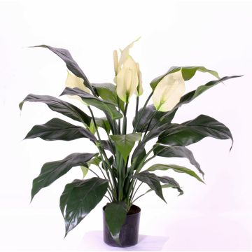 Spathiphyllum artificial ABBY con flores, blanco, 75cm