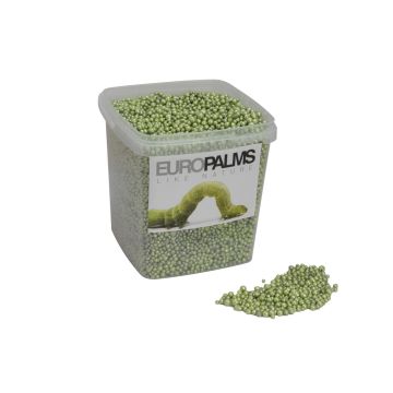 Bolas de arcilla expandida PERLA para decoración, granulado, verde manzana brillante, 1-4mm, cubo de 5,5l, Made in Germany