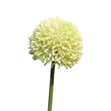 Allium artificial BAILIN, verde crema, 40cm