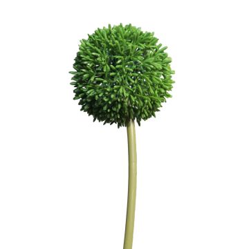 Allium artificial BAILIN, verde, 65cm