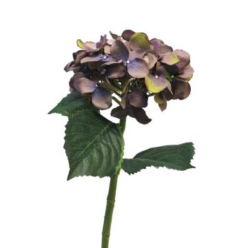 Hortensia artificial FUXIANG, violeta-verde, 50cm