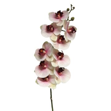 Rama artificial de orquídea Phalaenopsis SONGYA, rosa-crema, 105cm