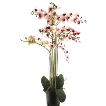 Orquídea Phalaenopsis artificial CHENXU, rosa-crema, 110cm