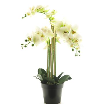 Orquídea Phalaenopsis artificial CHENXU, blanca, 60cm