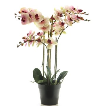 Orquídea Phalaenopsis artificial CHENXU, rosa-crema, 60cm