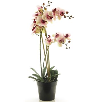 Orquídea Phalaenopsis artificial CHENXU, rosa-crema, 55cm