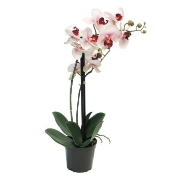 Orquídea Phalaenopsis artificial CHENXU, rosa-crema, 50cm