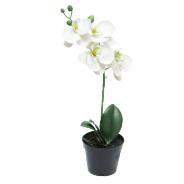 Orquídea Phalaenopsis artificial CHENXU, blanca, 35cm