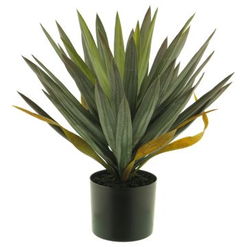 Palmera artificial de Yucca MUYANG, 50cm