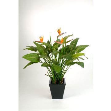 Strelitzia artificial SANURA, naranja-violeta, 130cm, 18x25cm