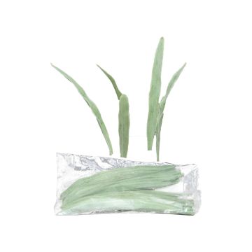 Hierba artificial de carrizo YAMIAN, 36 piezas, verde-blanco, 15cm