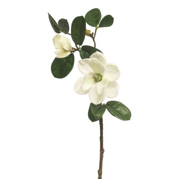 Magnolia artificial KETIAN, blanco, 50cm